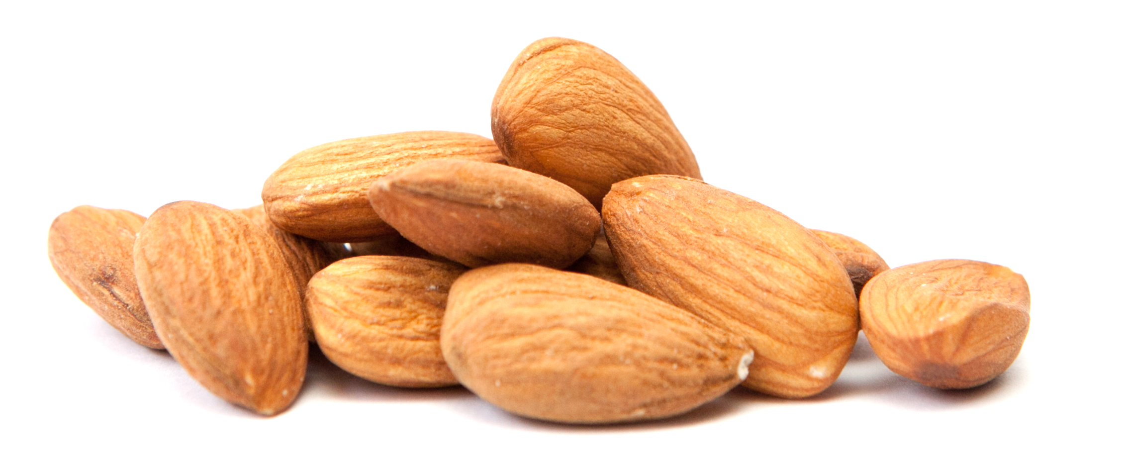 nut-free-grain-free-diet.png.png