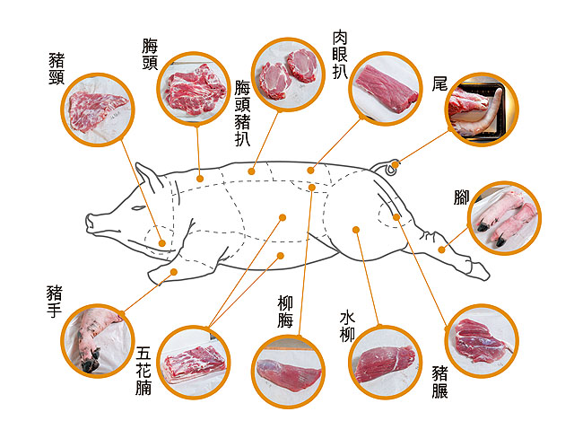 Daydayask 買豬肉必睇 豬隻部位大解構 Daydaycook