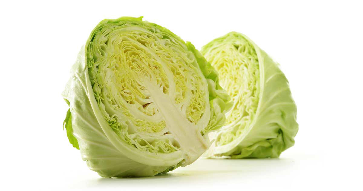 cabbage-1.jpg.jpg