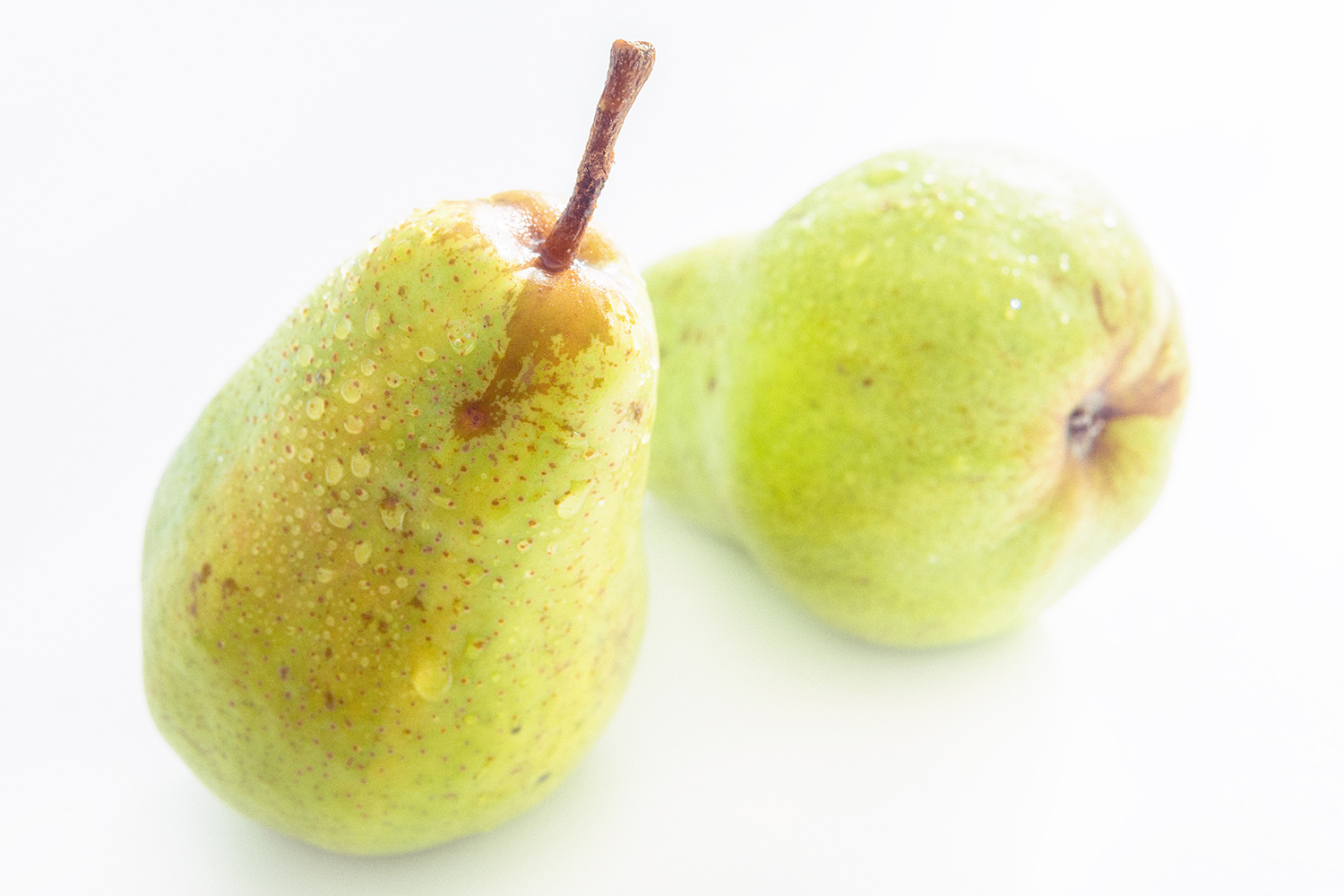 delicious-dew-food-568471.jpg.jpg
