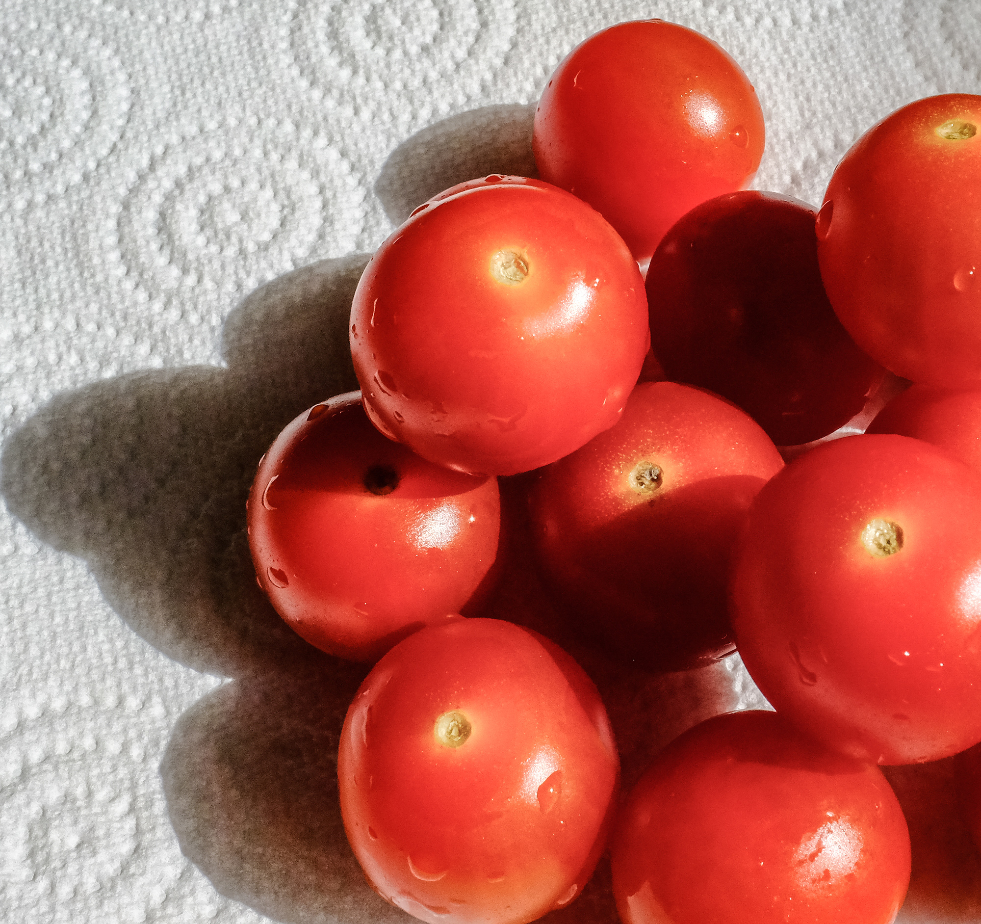 Tomatoes.jpg.jpg