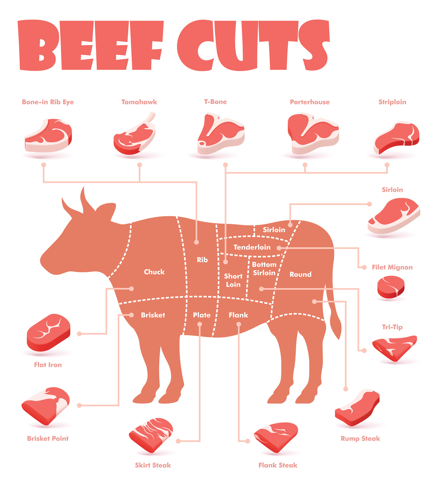Part Of A Cow Chart
